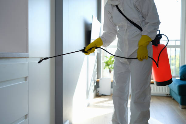 Best Residential Mold Remediation in Woodward, OK