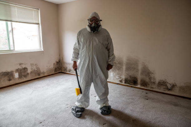 Best Mold Remediation for Schools in Woodward, OK